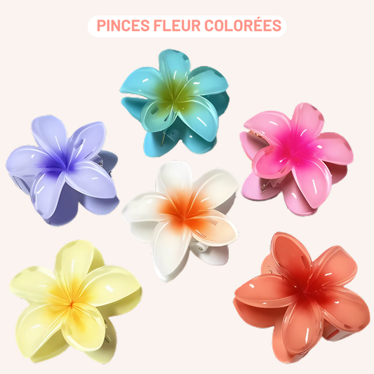 3 Pinces à cheveux Fleurs